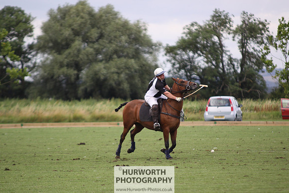 White Rose Polo 050