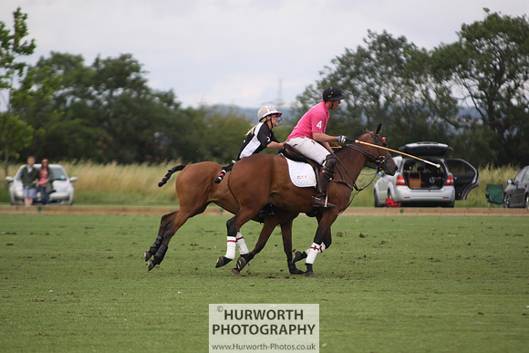 White Rose Polo 051