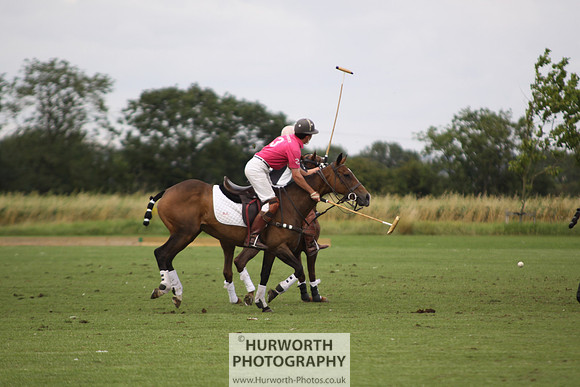 White Rose Polo 052
