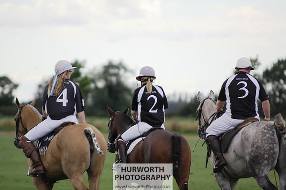 White Rose Polo 053