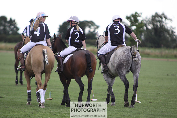 White Rose Polo 055