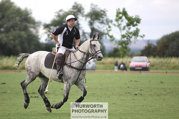 White Rose Polo 056