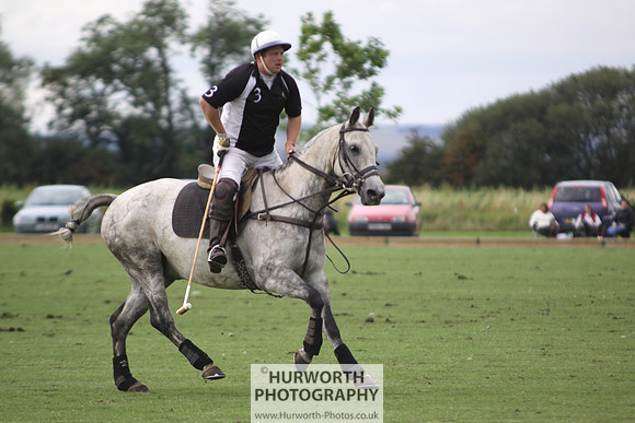 White Rose Polo 057