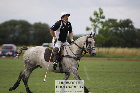 White Rose Polo 058
