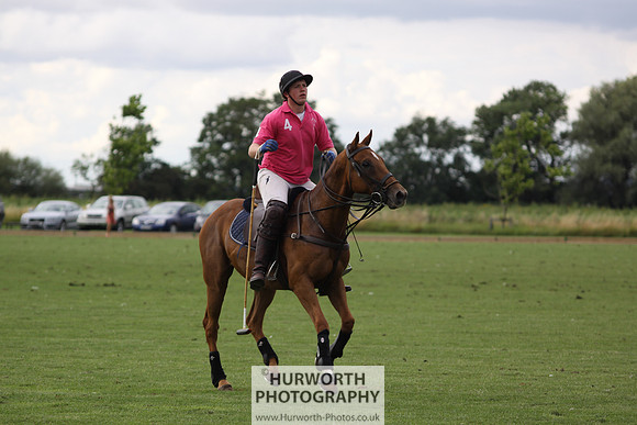 White Rose Polo 067