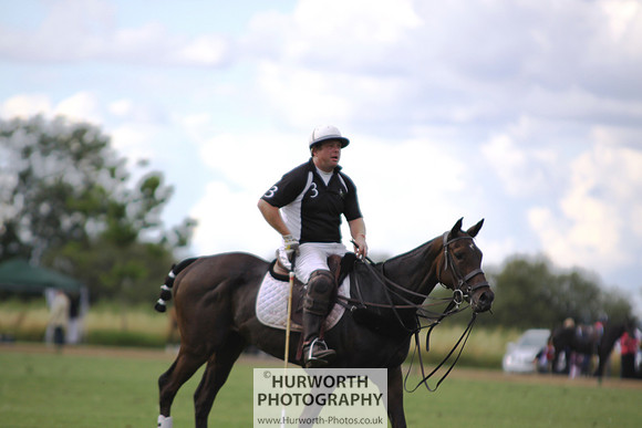 White Rose Polo 071
