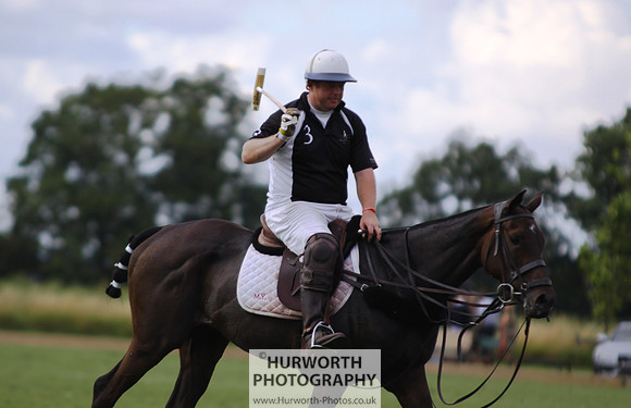 White Rose Polo 072