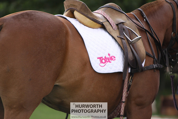 White Rose Polo 012