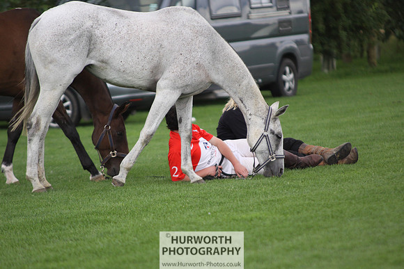White Rose Polo 021