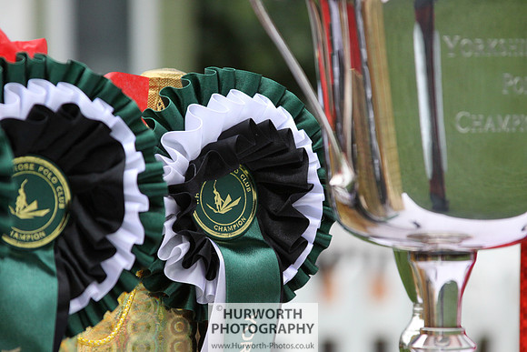 White Rose Polo 024