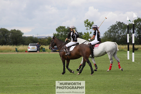 White Rose Polo 002