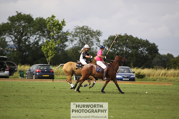 White Rose Polo 005