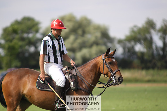 White Rose Polo 003