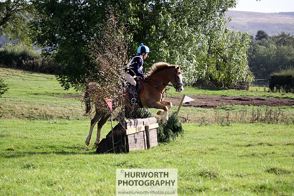 Hurworth Bilsdale Hedge Hop 309