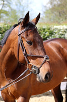 SP 19