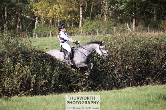 Hurworth Bilsdale Hedge Hop 532