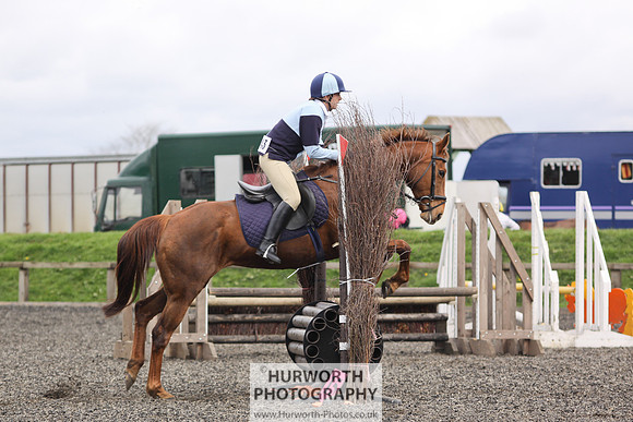 ShowCross 253