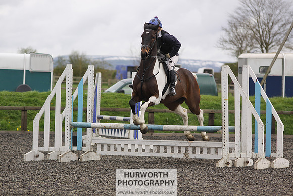 ShowCross 310