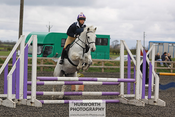 ShowCross 319