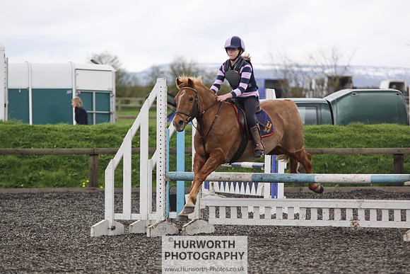 ShowCross 329