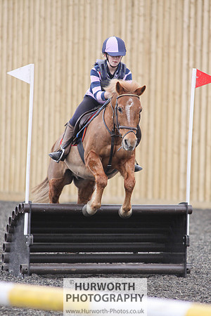 ShowCross 333