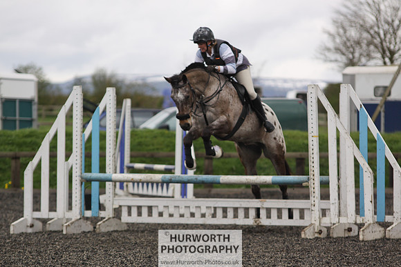 ShowCross 339