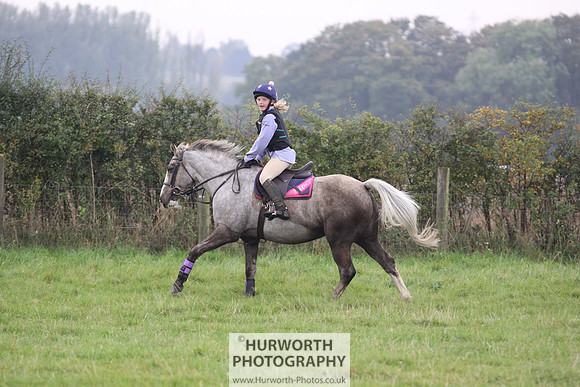 Hurworth ShowCross 240
