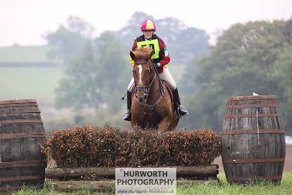 Hurworth ShowCross 310