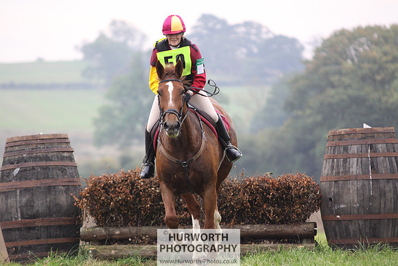 Hurworth ShowCross 314