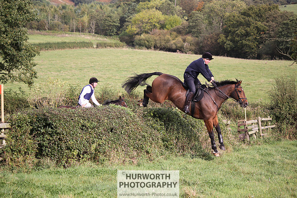 Hurworth Bilsdale Hedge Hop 658