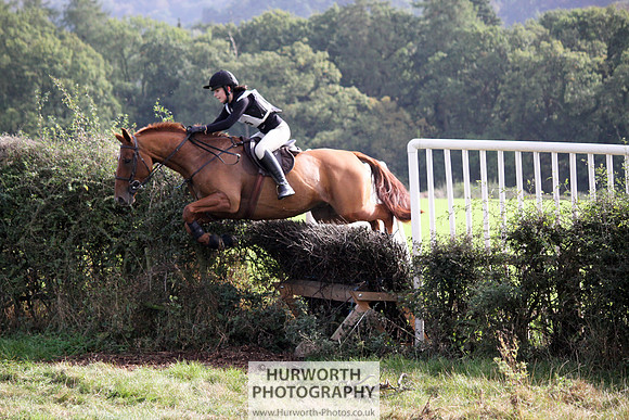 Hurworth Bilsdale Hedge Hop 558