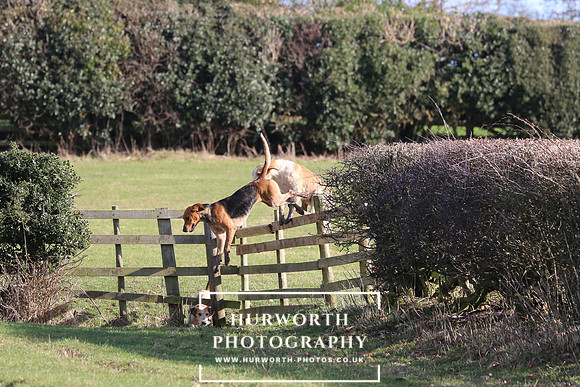 Hurworth Derwent 333
