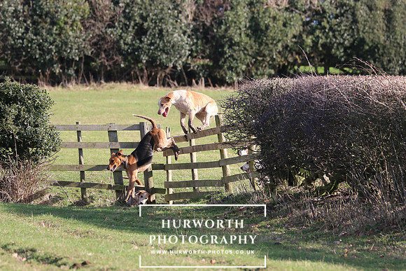 Hurworth Derwent 334