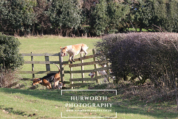 Hurworth Derwent 335