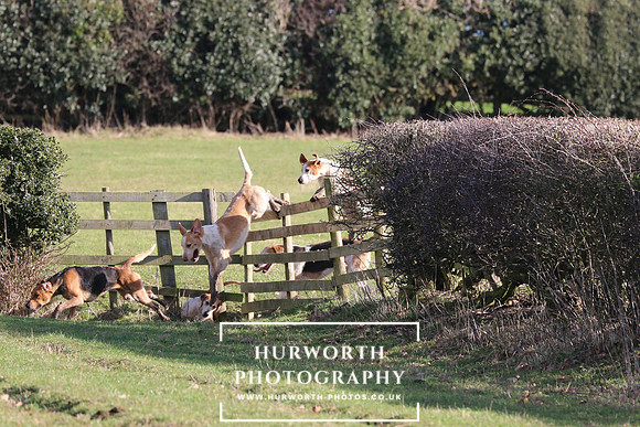 Hurworth Derwent 336