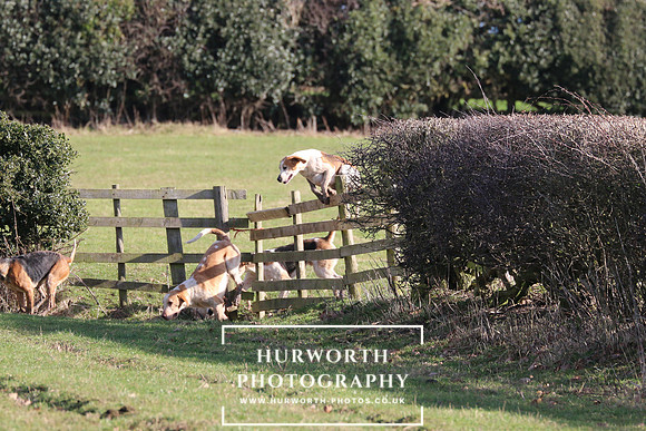 Hurworth Derwent 337