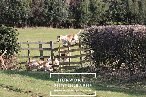 Hurworth Derwent 338