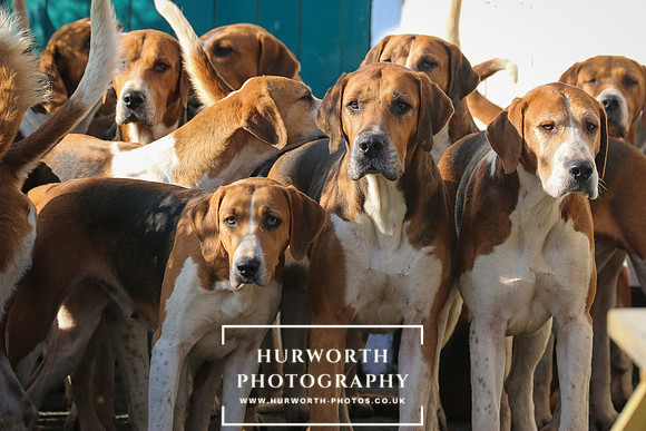 Hurworth Hunt 39
