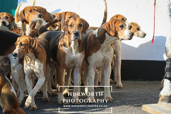 Hurworth Hunt 41