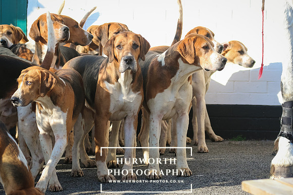 Hurworth Hunt 42