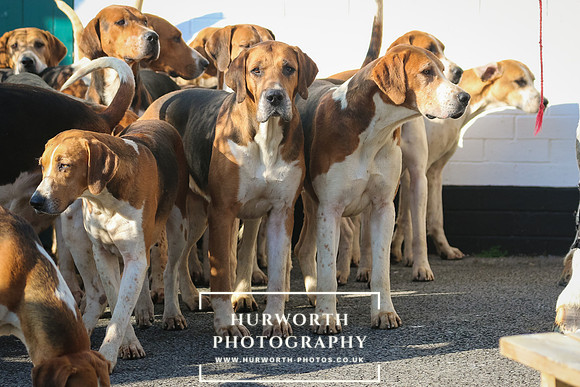 Hurworth Hunt 43