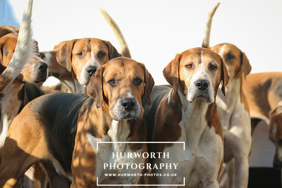 Hurworth Hunt 44