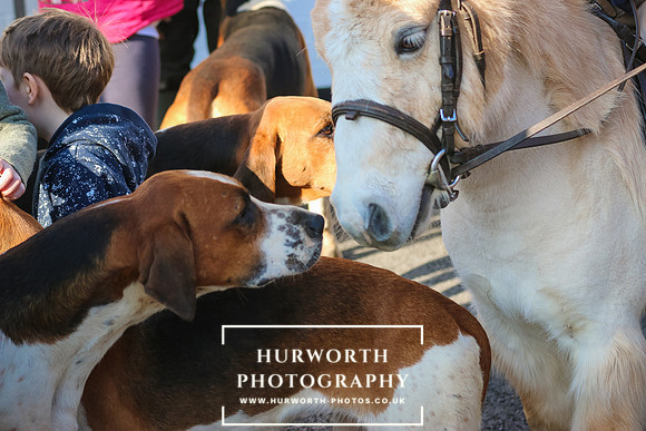 Hurworth Hunt 98