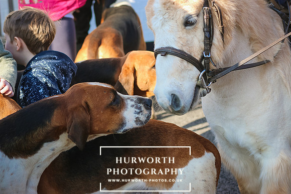 Hurworth Hunt 99