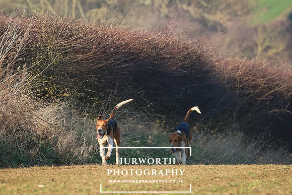 Hurworth Hunt 235
