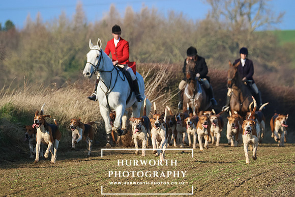 Hurworth Hunt 241