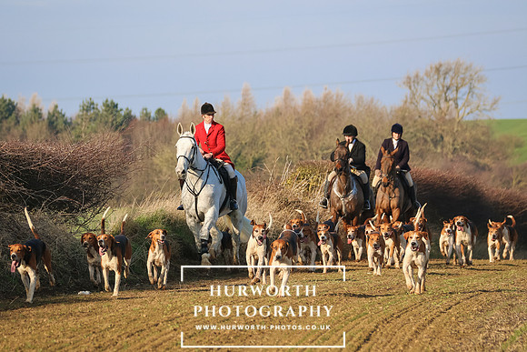 Hurworth Hunt 243