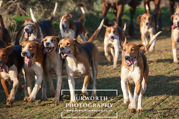Hurworth Hunt 249