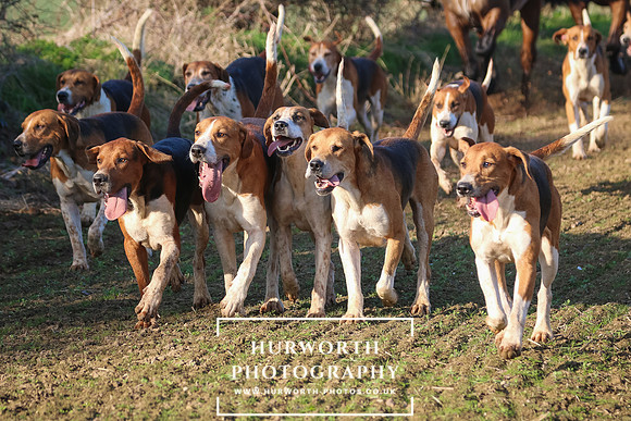 Hurworth Hunt 250