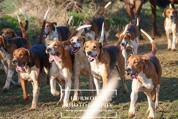 Hurworth Hunt 251